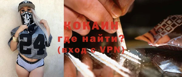 бошки Алексин