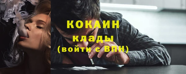 бошки Алексин