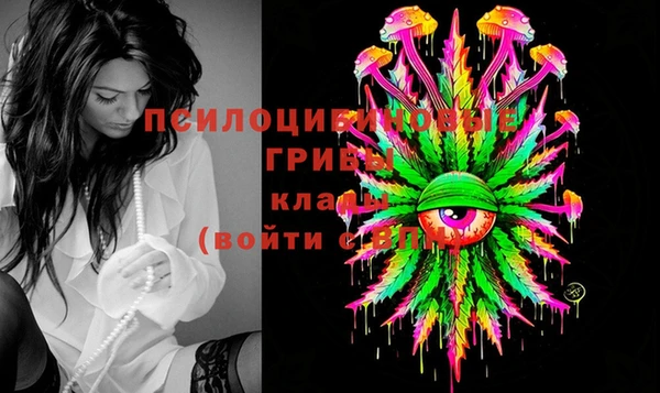 a pvp Алексеевка