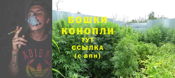 бошки Алексин