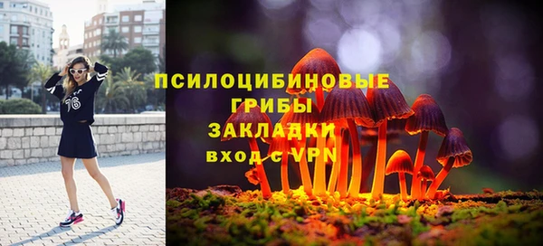 молекула духа Алзамай