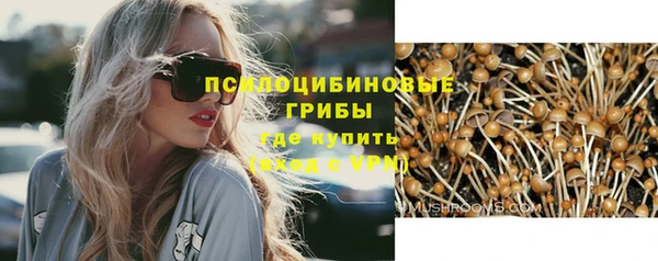 a pvp Алексеевка