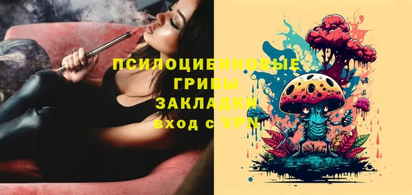 молекула духа Алзамай