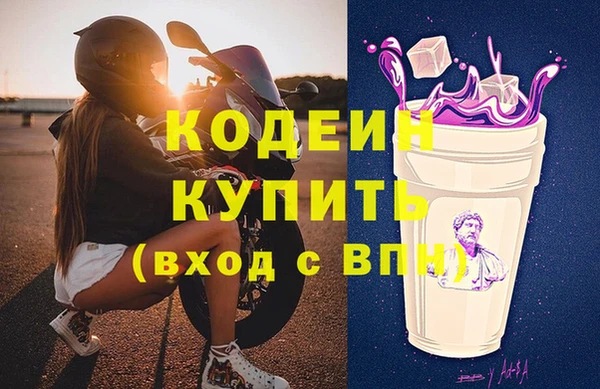 молекула духа Алзамай