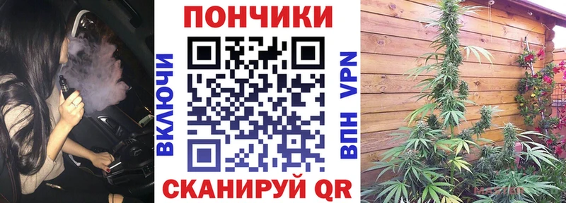 Канабис конопля  Сосенский 